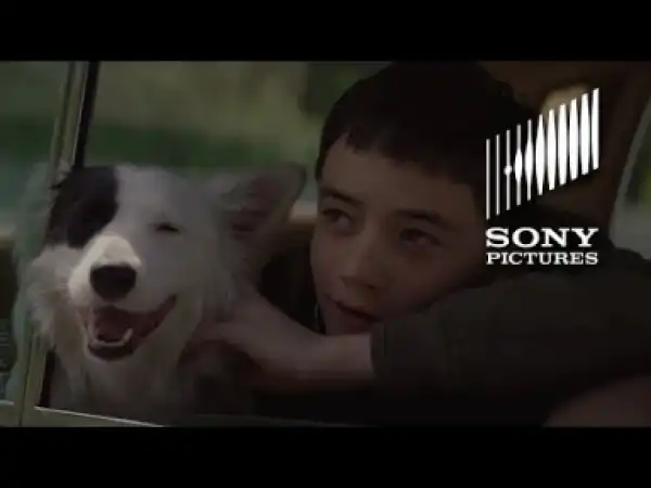 Video: Boundaries (2018) Official Trailer HD